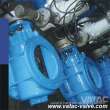 Gear Operated Soft Sealing RF Flanged Cast Eccentric Plug Valve